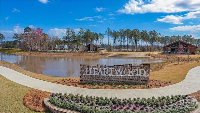 31 Cambium Cir, Richmond Hill, GA 31324 - photo 47