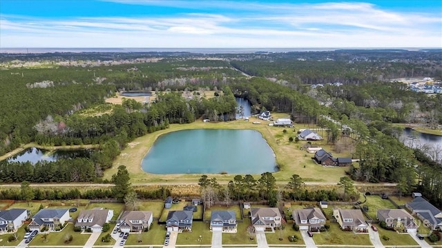 70 Wicklow Dr, Richmond Hill, GA 31324 - photo 45
