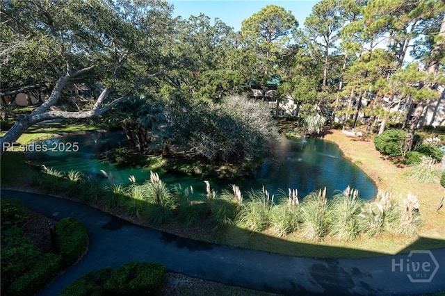 239 Beach City Rd Unit 1317, Hilton Head Island, SC 29926 - photo 10