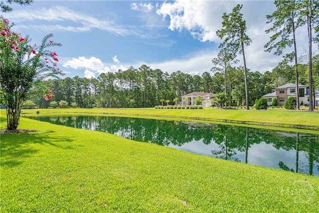 5 W Lake Heron Ct, Pooler, GA 31322 - photo 4
