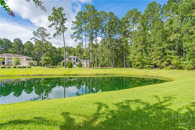 5 W Lake Heron Ct, Pooler, GA 31322 - photo 26
