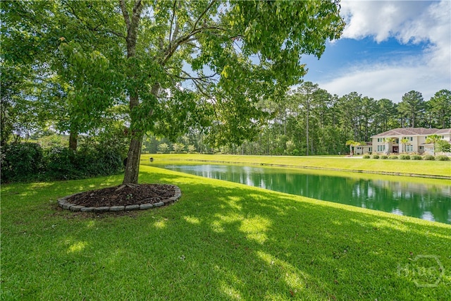 5 W Lake Heron Ct, Pooler, GA 31322 - photo 27