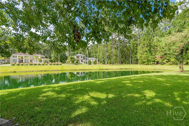 5 W Lake Heron Ct, Pooler, GA 31322 - photo 28