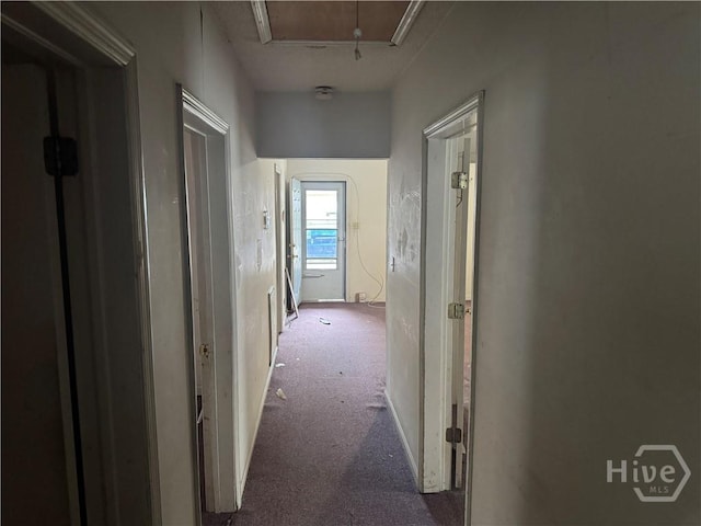 809 W 44th, Savannah, GA 31405 - photo 11