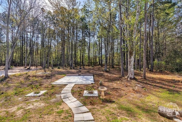 203 Crosswinds Dr, Rincon, GA 31326 - photo 38