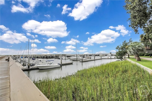 6 Pennefeather Ln, Savannah, GA 31411 - photo 53