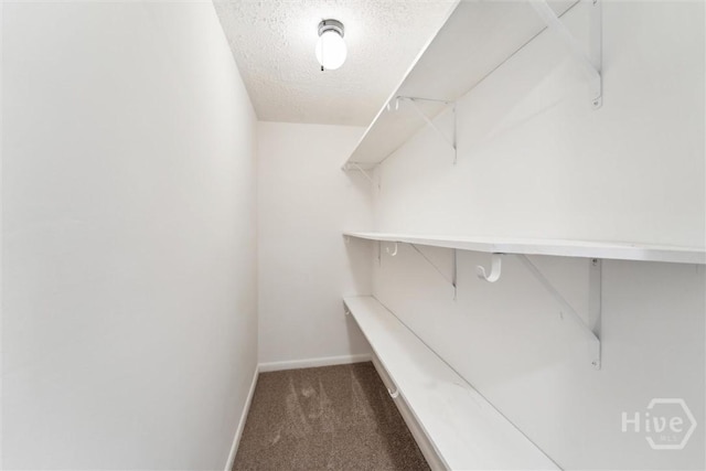 127 Turkey Trl, Statesboro, GA 30458 - photo 37