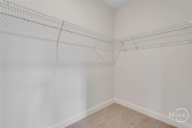 416 Logging Hill Dr, Richmond Hill, GA 31324 - photo 29