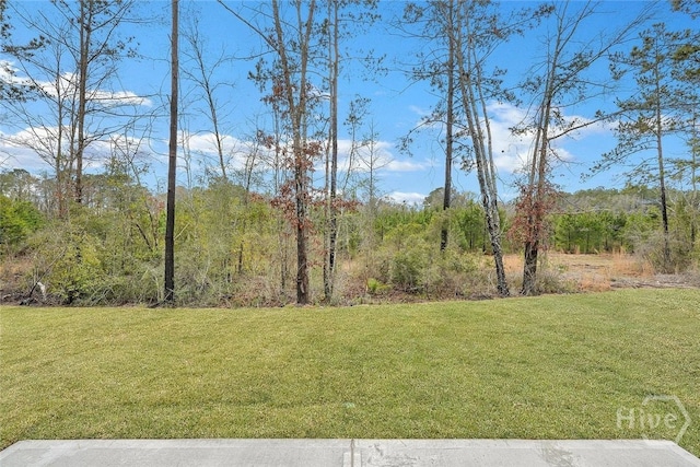 416 Logging Hill Dr, Richmond Hill, GA 31324 - photo 41