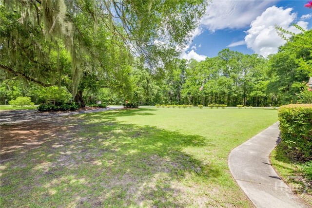 17 Oak Pointe Dr, Richmond Hill, GA 31324 - photo 38