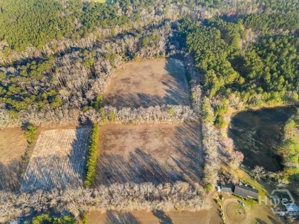 0 Maria Sorrell Rd, Statesboro, GA 30461 - photo 5