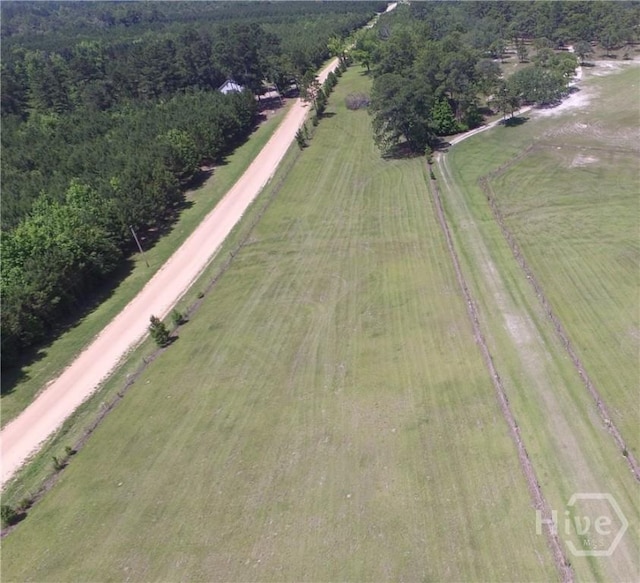 LOT1 Ben Grady Collins Rd, Portal, GA 30450 - photo 2