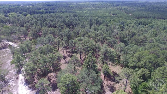 LOT1 Ben Grady Collins Rd, Portal, GA 30450 - photo 3