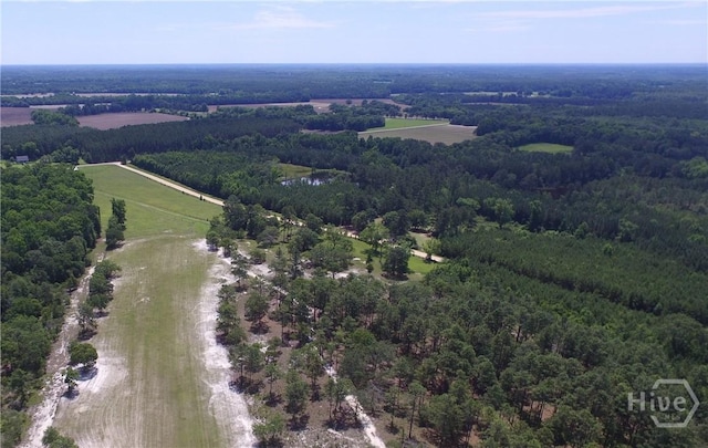 LOT1 Ben Grady Collins Rd, Portal, GA 30450 - photo 4
