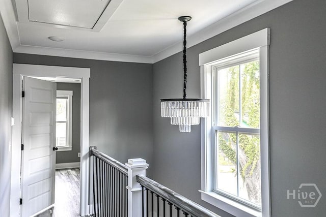653 Seiler Ave, Savannah, GA 31401 - photo 33