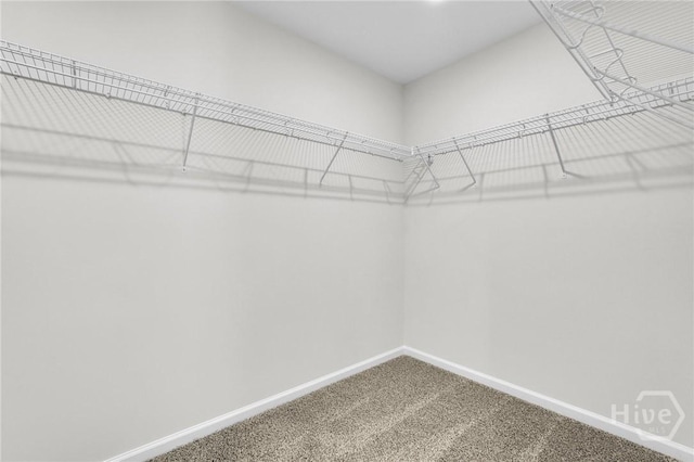 175 Orkney Rd, Savannah, GA 31407 - photo 17