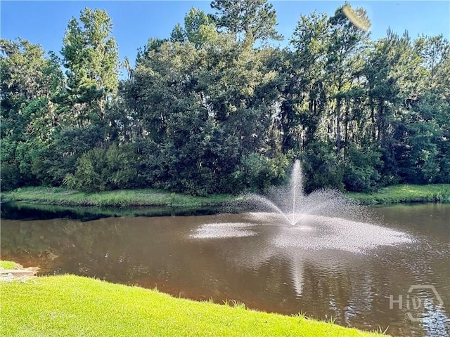 109 Wild Heron Villas Xing, Savannah, GA 31419 - photo 49