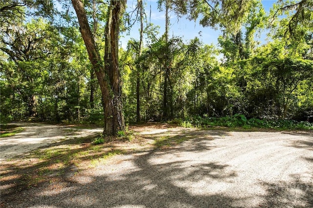 3 Big Oak Rd, Riceboro, GA 31323 - photo 6