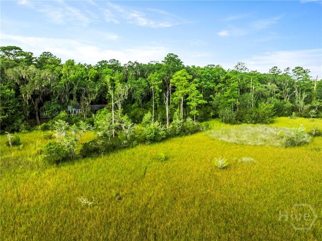 3 Big Oak Rd, Riceboro, GA 31323 - photo 20
