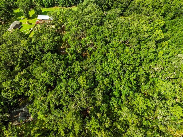 3 Big Oak Rd, Riceboro, GA 31323 - photo 12