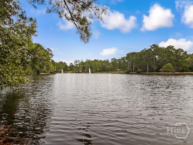 146 Palmetto Dr, Rincon, GA 31326 - photo 53