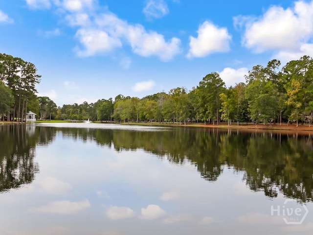 146 Palmetto Dr, Rincon, GA 31326 - photo 54