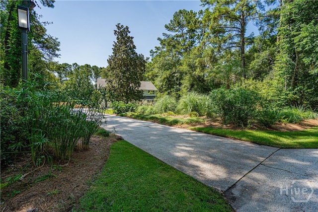 146 Palmetto Dr, Rincon, GA 31326 - photo 2