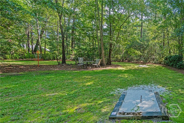 146 Palmetto Dr, Rincon, GA 31326 - photo 40