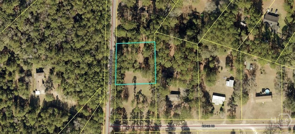 883 Black Creek Church Rd, Ellabell, GA 31308 - photo 1