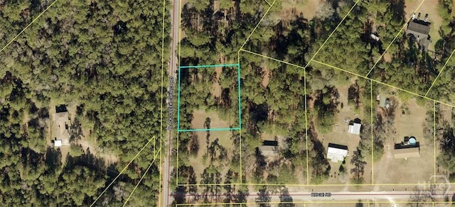 883 Black Creek Church Rd, Ellabell, GA 31308 - photo 1