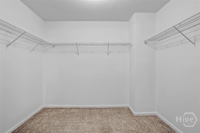 140 Wax Myrtle Ct, Savannah, GA 31419 - photo 19