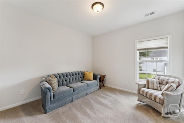 11 Peaberry Ln, Savannah, GA 31419 - photo 26