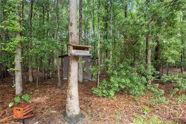 137 Fire Thorn Ln, Pooler, GA 31322 - photo 38