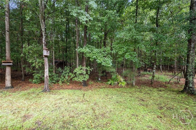 137 Fire Thorn Ln, Pooler, GA 31322 - photo 39