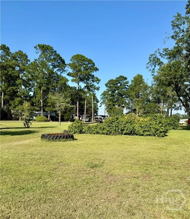 202 Laurel Dr, Sylvania, GA 30467 - photo 8