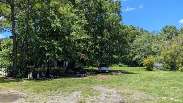 4523 Mud Rd, Brooklet, GA 30415 - photo 3