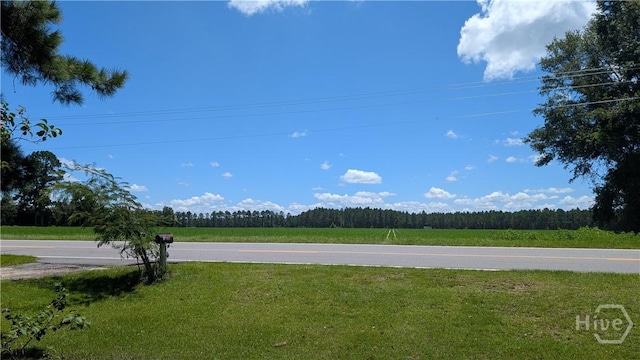 4523 Mud Rd, Brooklet, GA 30415 - photo 7