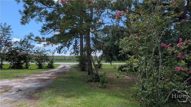 4523 Mud Rd, Brooklet, GA 30415 - photo 17