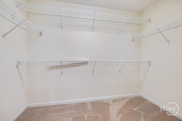 9 Cross Gate Ct, Pooler, GA 31322 - photo 44