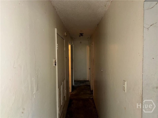 1605 Delano St, Savannah, GA 31415 - photo 8