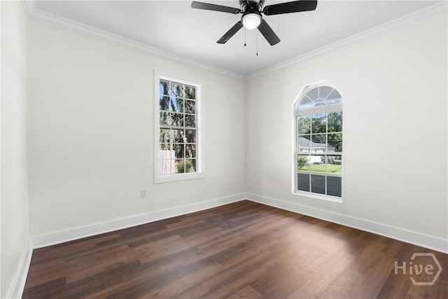 807 W 52nd St, Savannah, GA 31405 - photo 15