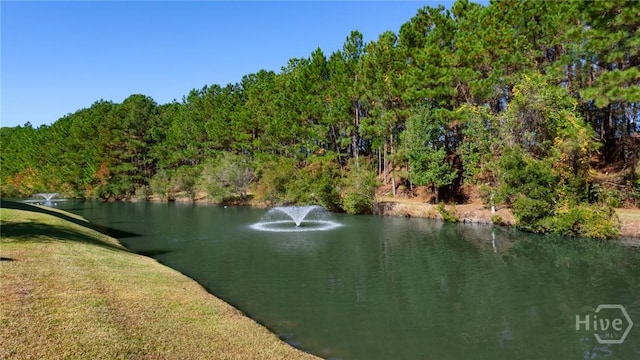32 Weatherby Cir, Savannah, GA 31405 - photo 49