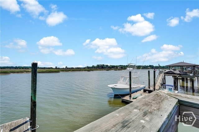 18 Egrets Nest Dr Unit 18, Savannah, GA 31406 - photo 55