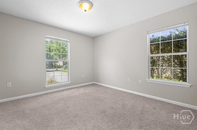 206 Shady Oak Cir, Richmond Hill, GA 31324 - photo 26