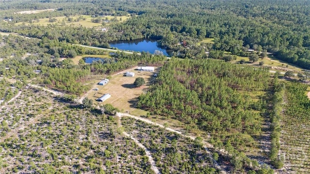 11257 Stillmore Hwy, Metter, GA 30439 - photo 47