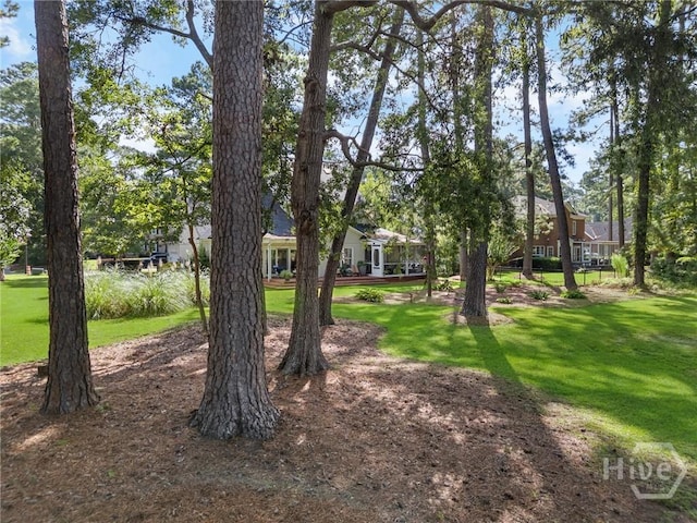 307 Wedgefield Xing, Savannah, GA 31405 - photo 47