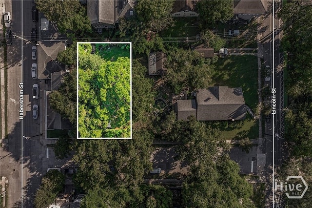 311 E 39th St, Savannah, GA 31401 - photo 3