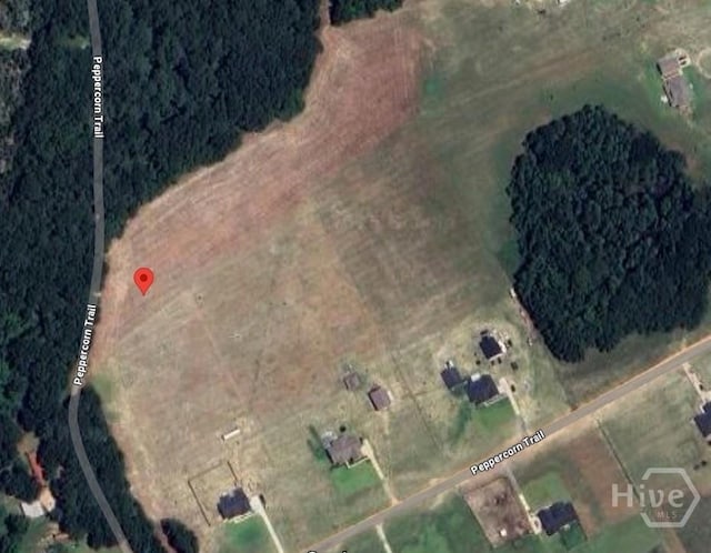 0 Peppercorn Trl, Pembroke, GA 31321 - photo 3