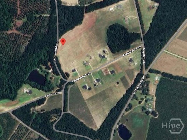 0 Peppercorn Trl, Pembroke, GA 31321 - photo 4