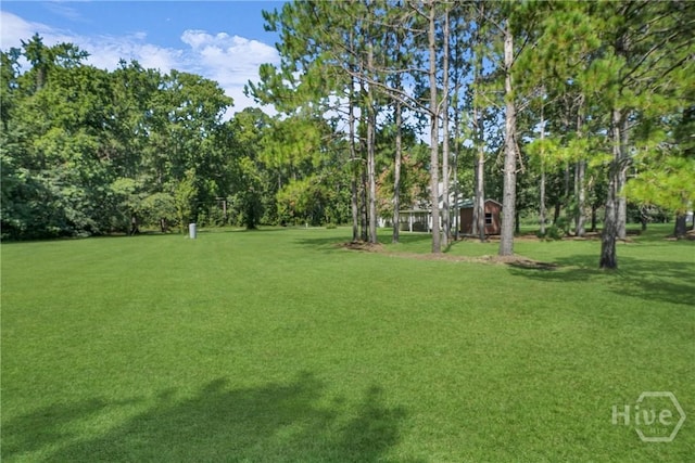 356 Stilson Rd, Brooklet, GA 30415 - photo 49